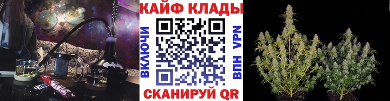 Что такое Северская Альфа ПВП Марихуана Меф мяу мяу ГАШ