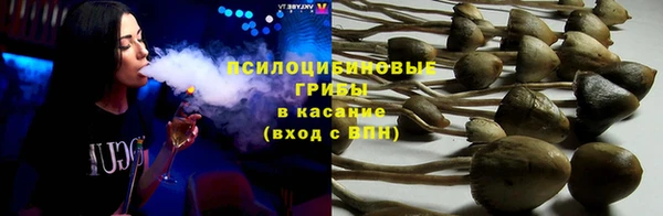 ECSTASY Вяземский