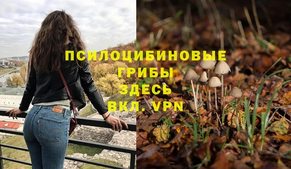 мет Осташков